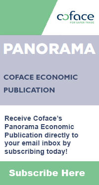 Coface Panorama Subscription