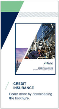 Credit Insurance Brochure