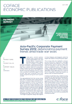 APAC payment Survey