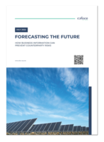 Forecasting the Future: How Business Information can prevent counterparty risks